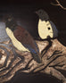 Chinese Export Eight Panel Coromandel Screen Bird Landscape