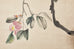 Chinese Hanging Scroll Painting of Camellias Signed Dated