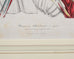 Set of Nine Botanical Lithograph Prints after Louis Van Houtte