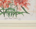 Set of Nine Botanical Lithograph Prints after Louis Van Houtte