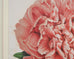 Set of Nine Botanical Lithograph Prints after Louis Van Houtte
