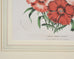 Set of Nine Botanical Lithograph Prints after Louis Van Houtte