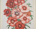 Set of Nine Botanical Lithograph Prints after Louis Van Houtte