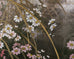 Japanese Showa Four Panel Screen Autumn Flowers and Grasses