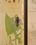 1940s Swedish Modern Nordens Flora Botanical Sideboard Cabinet