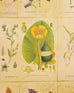 1940s Swedish Modern Nordens Flora Botanical Sideboard Cabinet
