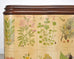 1940s Swedish Modern Nordens Flora Botanical Sideboard Cabinet
