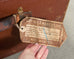Early 20th Century Art Deco Canvas and Bentwood Steamer Trunk