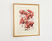 Set of Nine Botanical Lithograph Prints after Louis Van Houtte