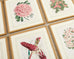 Set of Nine Botanical Lithograph Prints after Louis Van Houtte