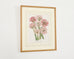 Set of Nine Botanical Lithograph Prints after Louis Van Houtte