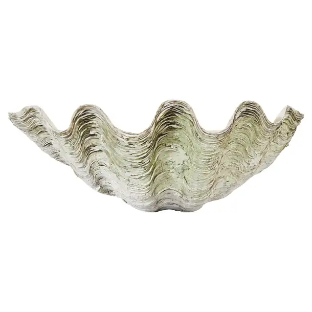 Natural South Pacific Ocean Giant Clam Shell Erin Lane Estate