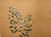 Japanese Showa Four Panel Screen Spring Flowers on Gilt