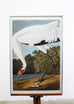 Audubon Whooping Crane Plate #226 Havell Oppenheimer Edition