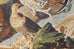 Audubon Ruffed Groüse Plate #41 Havell Edition