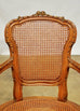 Neoclassical Louis XVI Shield Back Caned Fauteuil