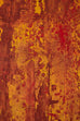 The Red Forest Modern Abstract